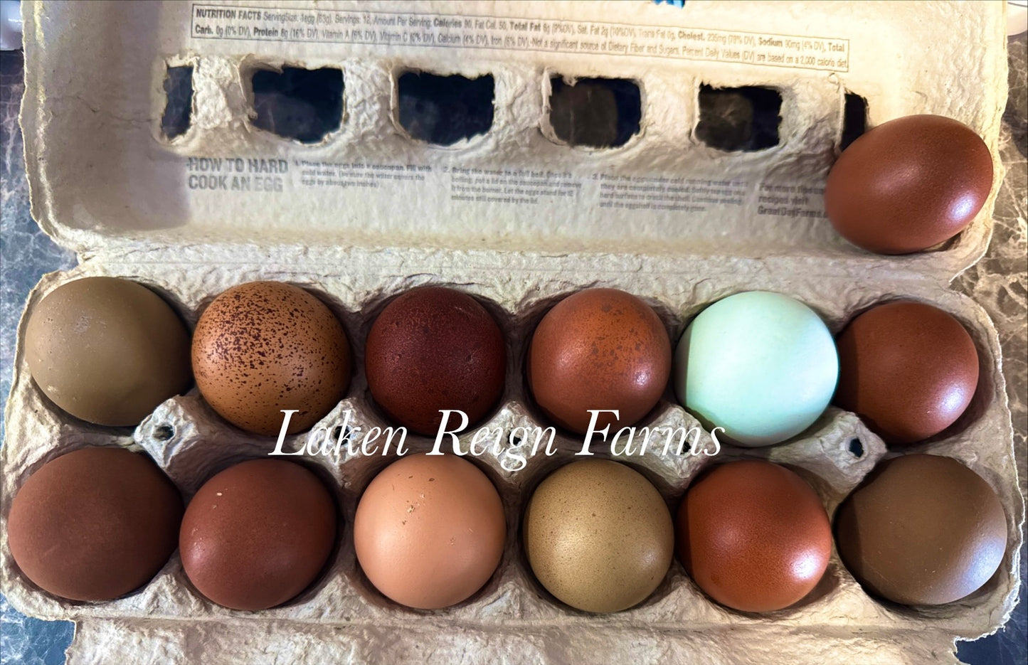 Rainbow Hatching Eggs